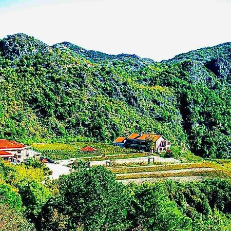 Eco Winery Lipovac Apartments Cetinje Eksteriør billede