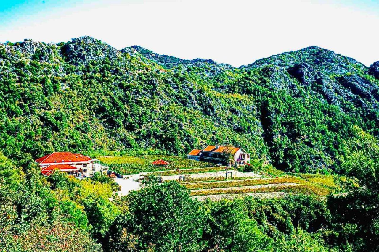 Eco Winery Lipovac Apartments Cetinje Eksteriør billede